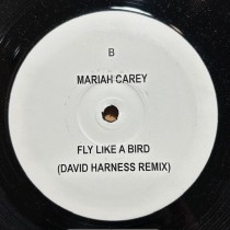 Fly Like A Bird (david harness remix)